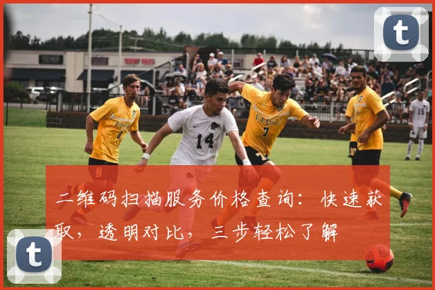 二维码扫描服务价格查询：快速获取，透明对比，三步轻松了解
