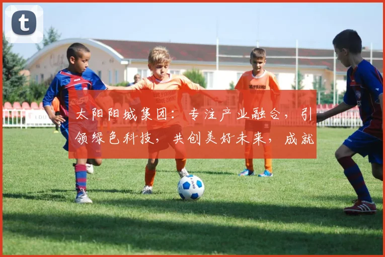 太阳阳城集团：专注产业融合，引领绿色科技，共创美好未来，成就企业典范。