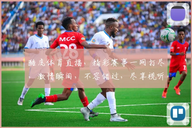 酷虎体育直播，精彩赛事一网打尽，激情瞬间，不容错过，尽享视听盛宴
